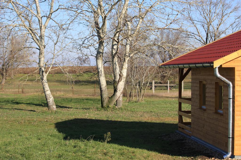 Pusztaeldorado Tiszagyenda Bagian luar foto