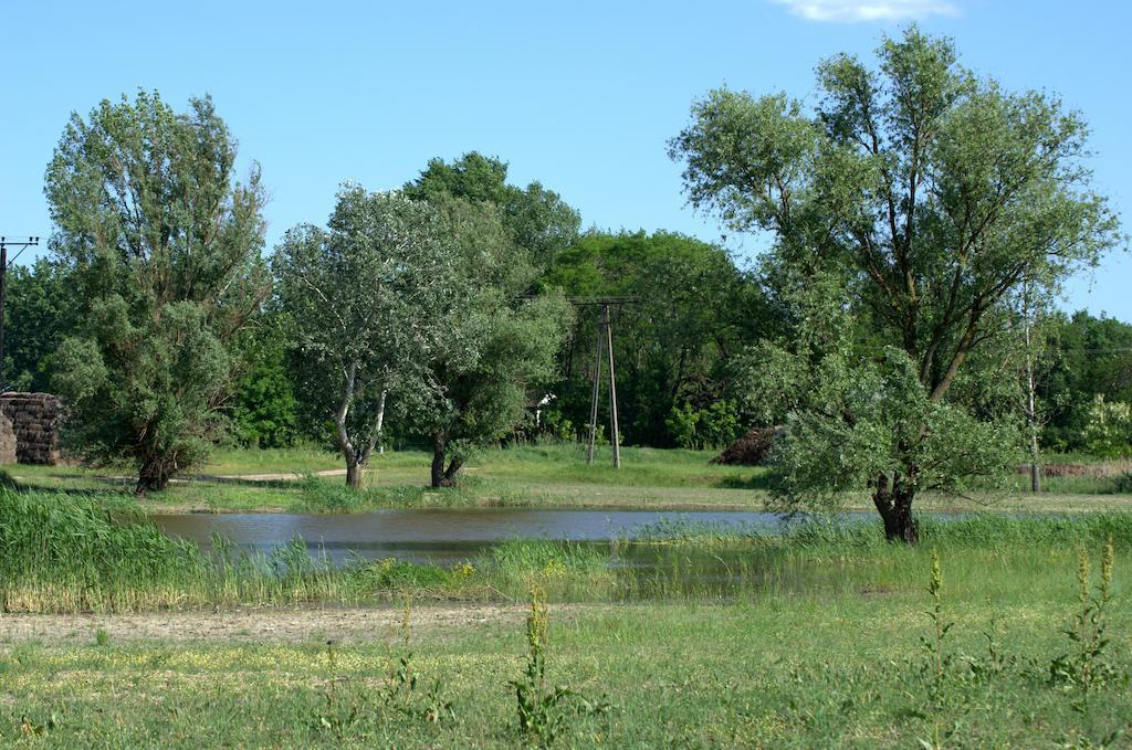 Pusztaeldorado Tiszagyenda Bagian luar foto